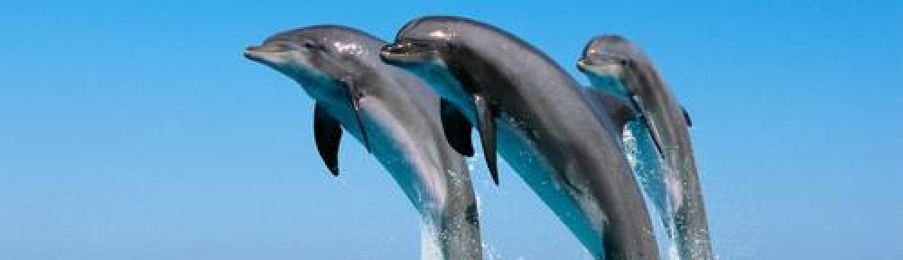 thejourneytoparenthood